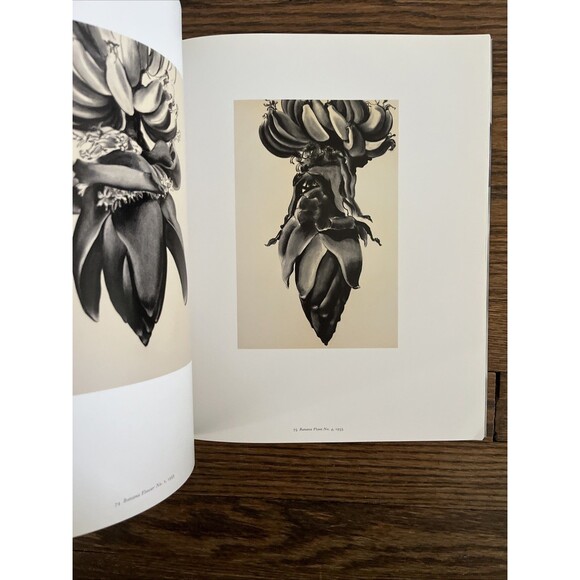 Georgia O'Keeffe One Hundred Flowers 1989 First Paperback Edition Art Book - Picture 3 of 5